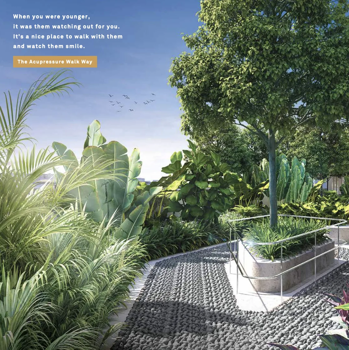 Landscaped garden