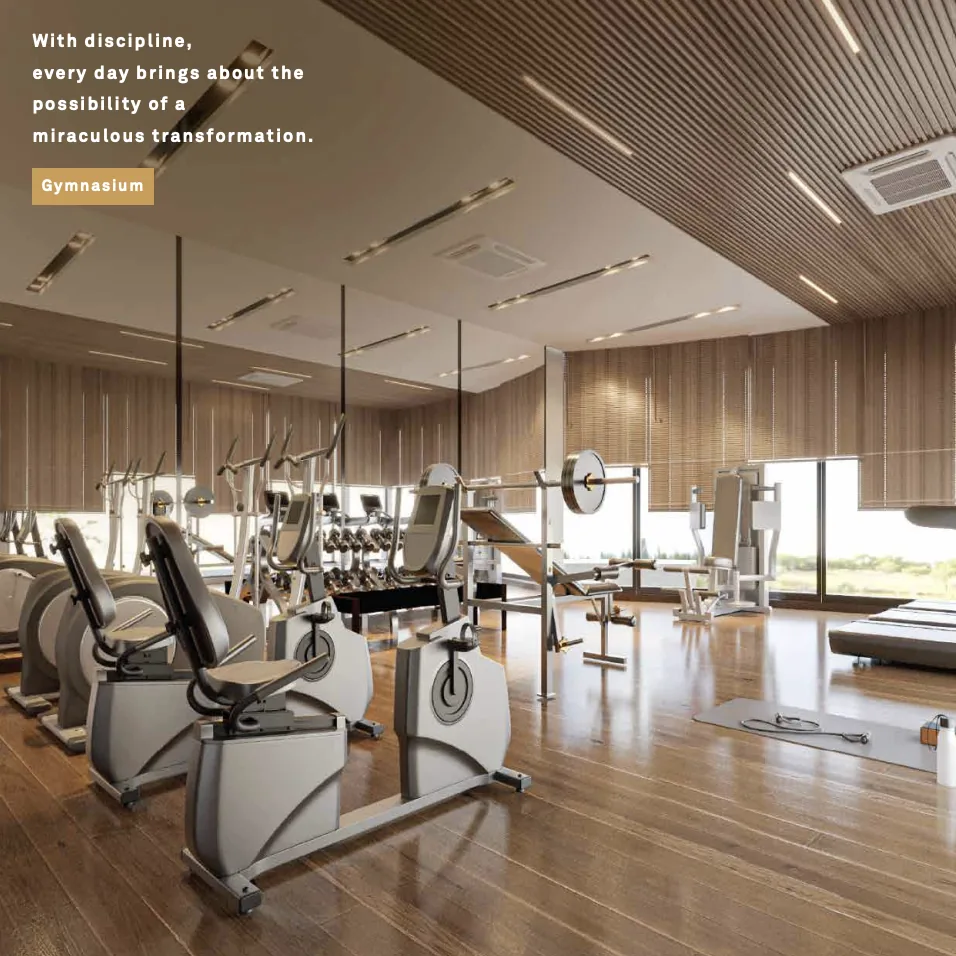Gymnasium
